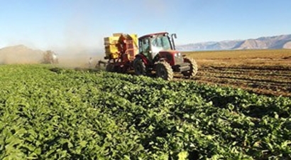 Tarım ÜFE Temmuz`da azaldı