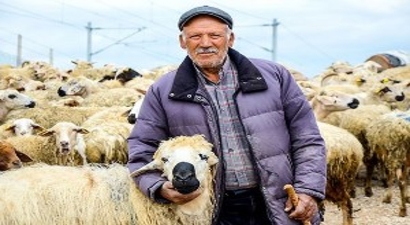 Yanlış hayvancılık politikaları etin ucuzlamasını engelliyor
