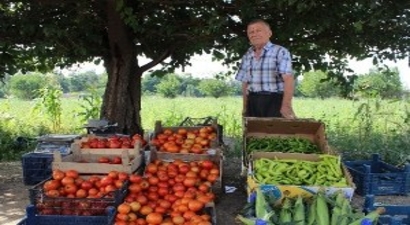 Eskişehir`de Zararına da Olsa Hormonsuz Sebze Üretip Satıyor