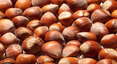 Fındık Üreticisi Umduğunu Bulamadı