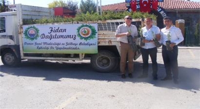 Gölbaşı`nda 50 Bin Fidan Dağıtıldı