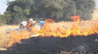 Anız Ateşi Tarım Arazileri ve Ormanı Yaktı