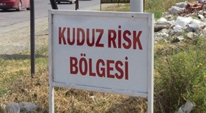 Çankırı`da 9 Yerleşim Yerinde Kuduz Görüldü