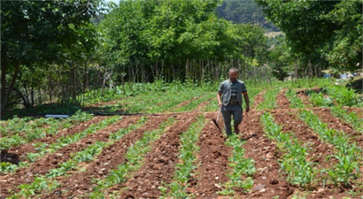 Organik Ve İyi Tarım Destekleme Ödemeleri Başladı