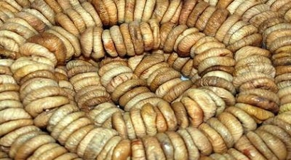 Nazilli`de İncir ve Gıda Sezonu Açıldı