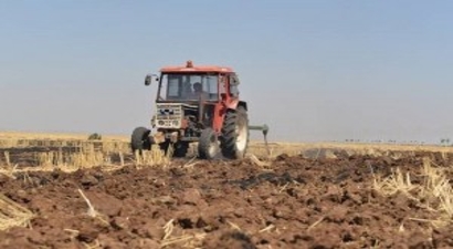 Kent Bostanları Yaygınlaşıyor