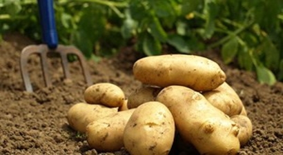 `Stok` Bitiyor, Fiyatı Artık Cep Yakmayacak