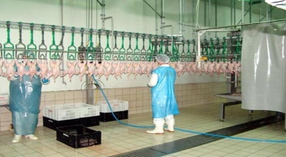 Kesimhanedeki Veterinerlere Bakanlık`tan Eğitim