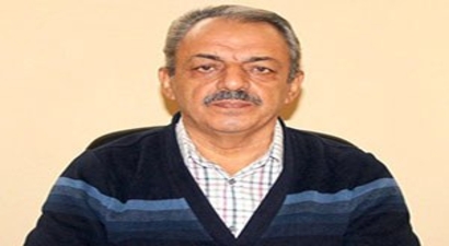 Arıcılar: Zeytin Sineğiyle Mücadele Çalışmaları Yerden Yapılmalı
