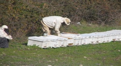 Sıcak Rüzgarlar Bal Üretimini Vurdu