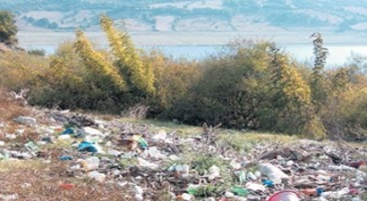 Bayramiç`deki Zehir Tehdidi Devam Ediyor