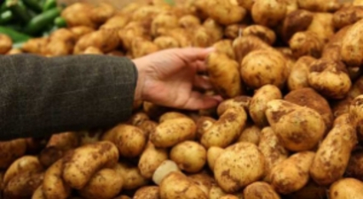 Patates Bereketi