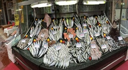 Nesli Tükenme Tehlikesi Altındaki Balıklar İçin Proje