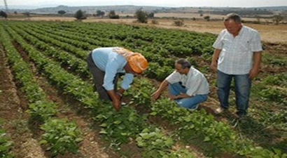 Tarımsal Danışmanlık Sınavı`na başvurular başladı