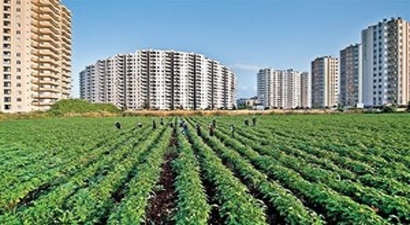 13 Yılda 2,4 Milyon Hektar Tarım Arazisi Kayboldu