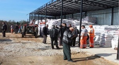 Koceli`de Çiftçilere Yem Bitkisi Tohumu Desteği