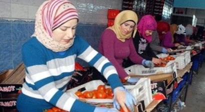 Aydın İhracatına Tarım ve Hayvancılık Dopingi