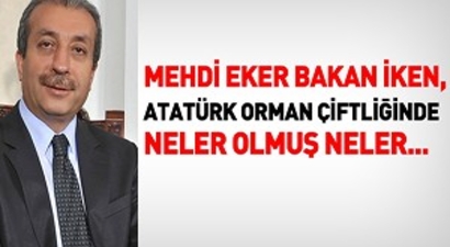 Mehdi Eker, Bakan İken Neler Olmuş Neler...