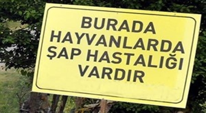 Boyabat`ta Şap Karantinası Hayvan Pazarını Boş Bıraktı