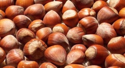 Fındık Üreticisine `Vade` Uyarısı