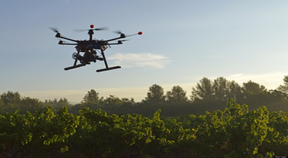 Drone`lar Suya Dalıp Ağaç Dikecek
