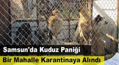 Samsun`da Bir Mahalle Karantinaya Alındı