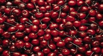 Türk Kirazı Çin`e Gidiyor