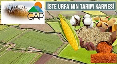 Urfa`nın Yıllık Tarımsal Üretimi 5 Milyar TL