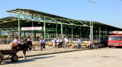 Sarıgöl`de Şap Hastalığı Önlemi