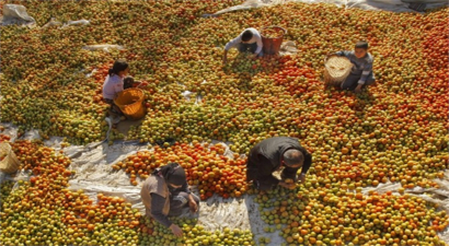Milas`ta 2016 Yılı ÇKS Kayıtları Başladı