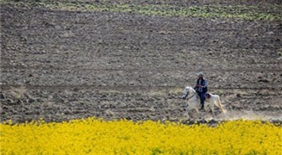 Düzce`ye Tarımsal Yayım ve Danışmanlık Desteği