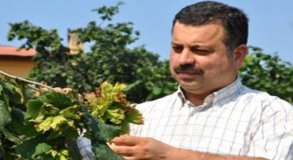 `Allahverdi` Türkiye`nin 18. Fındık Çeşidi Oldu