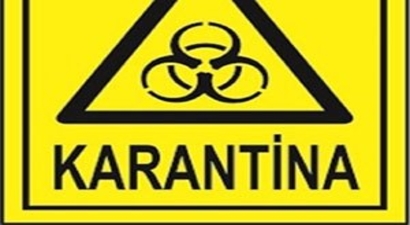 Siirt`te Bir Mezra Karantinaya Alındı