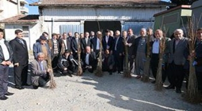Çiftçilere Kiraz, Japon Eriği ve Alıç Fidanı Dağıtıldı