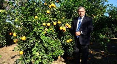 Narenciye Üreticisi Rusya Krizin Bitmesini Bekliyor