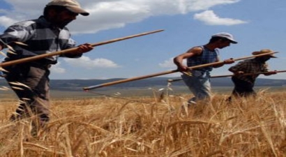 Çiftçi Zarar Ediyor