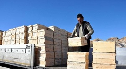 Rusya`nın Türkiye`den Başka Bir Ülkeden Limon Alma Şansı Yok