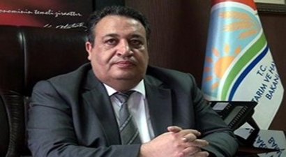 Sivas`ta Şap Hastalığı 58 Hayvanı Telef Etti
