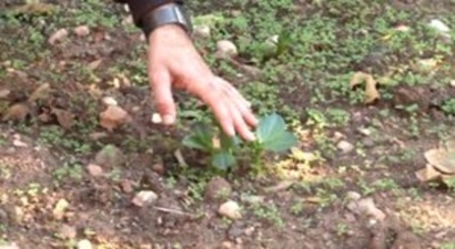 Suriyeliler İçin `Mikro Tarım Projesi`
