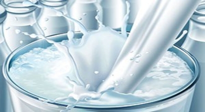 Süt Teknoloji Araştırma ve Geliştirme Merkezi Projesi