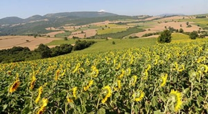 Tarım ve Hayvancılık Kredi Miktarları Belli Oldu