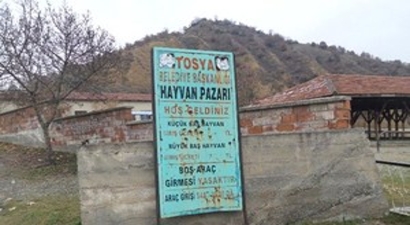 Tosya Hayvan Pazarı, Şap Hastalığı Nedeniyle Karantinaya Alındı