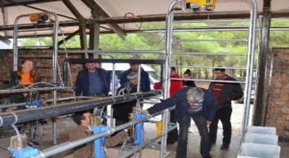 Türkiye`nin Hayvancılık Alanındaki Tecrübesi Moldova`ya Taşınıyor