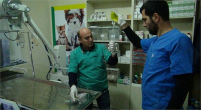 Bölgenin İlk Donanımlı Hayvan Hastanesi Tatvan`da Kuruldu