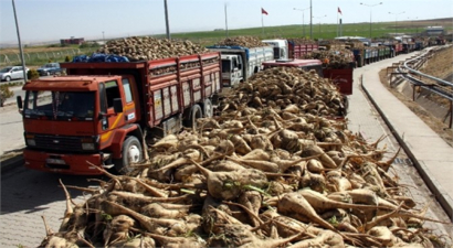 Başkan Kesber Kuş`tan Kota Esneme Hakkı Müjdesi