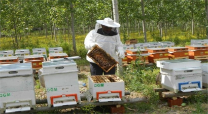Amasya Obm`den Orman Köylüsüne Destek