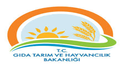 Bakanlık Personel Alacak