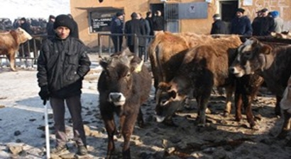 Bakanlık Fiyat Artışında Market ve Kasapların Önüne Geçsin