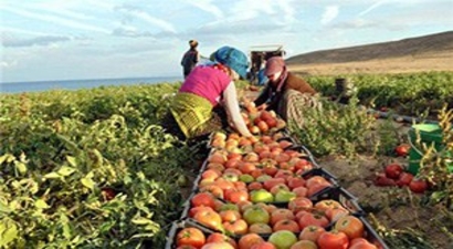 Çin Rusya`ya Tarımsal Ürün İhracatını Artırabileceğini Açıkladı