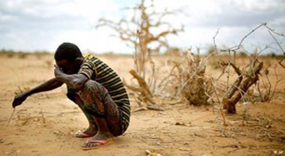 Güney Afrika`da Kuraklık Çiftçileri Zorluyor